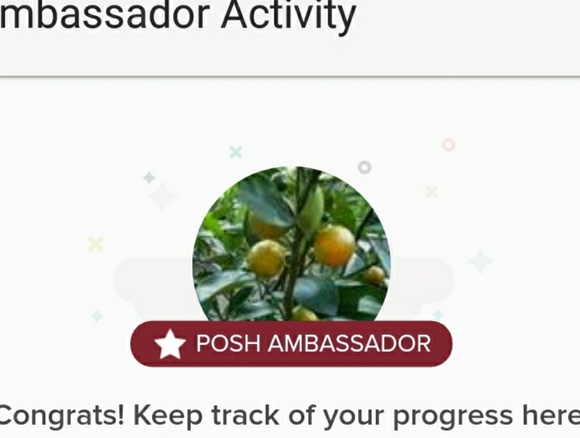 POSH Ambassador!!!